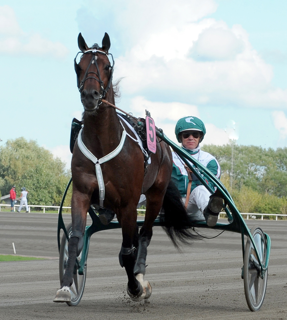 Who's Who och Örjan i den inledande semifinalen på Solvalla på söndag. Foto; C.Kärrstrand/Hingstfotografen